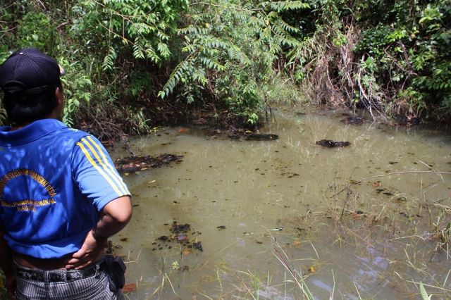 Tak Kunjung dibersihkan, Limbah Minyak Genangi Belasan Lahan