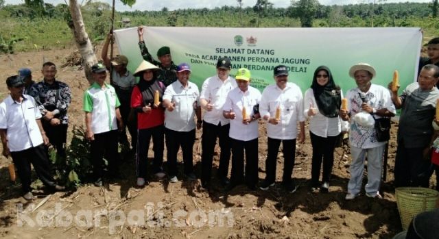 Alternatif Selain Karet, Petani PALI diajak Budidaya Kedelai