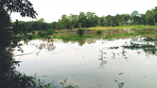 Na'as, Santri Ponpes Al Rozi Tewas Tenggelam di Persawahan