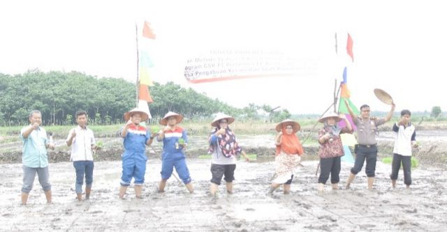 Adera Field Tingkatkan Produksi Petani dengan Sistem SRI