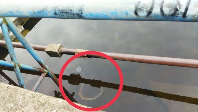Pipa Korosi, Pemandian Umum di Karang Agung Tercemar Minyak
