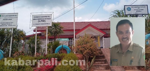 Pimpin Dua Kelurahan, Dedi Mengaku Layanan Masyarakat Tetap Optimal