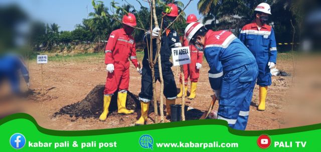 Peringati Hari Lingkungan Hidup, Adera Field Hijaukan WKP