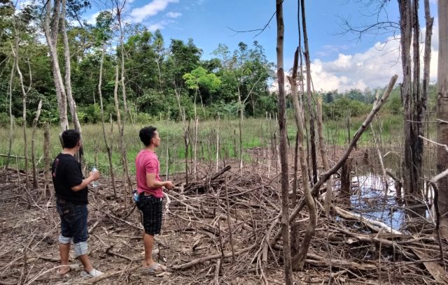Kebun Rusak Akibat Aktivitas Pemboran, Pertamina Pendopo Field Tak Seriusi Komplain Warga