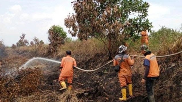 PALI Alami 4 Titik Karhutla, BPBD Himbau Warga Stop Bakar Lahan
