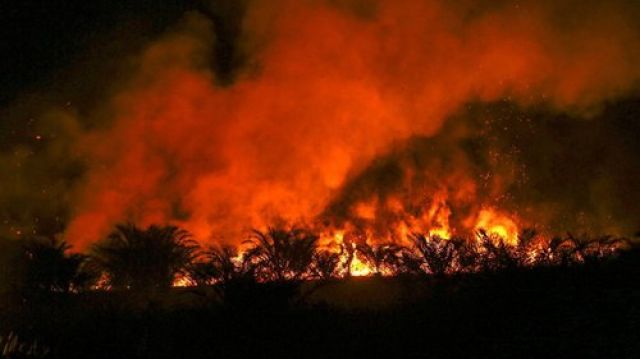 Karhutlah di Sumsel Makin Meluas, PALI diurutan keempat