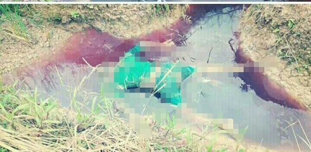 Sitan ditemukan Sudah Membusuk di Kebun