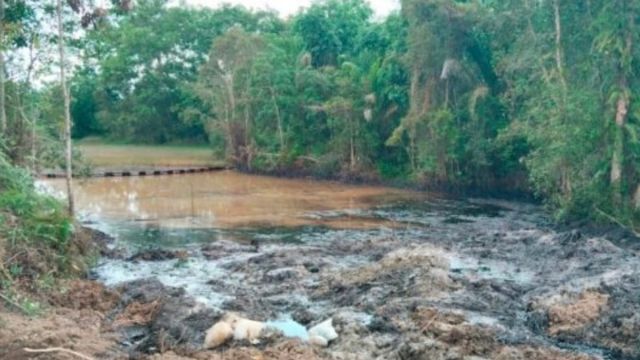 Tumpahan Minyak Pertamina Kembali Cemari Rawa dan Kebun Warga di PALI - DLH Senyap